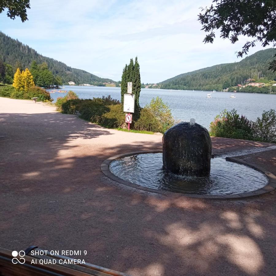 Appartement Les Balcons De La Chalande Le Tholy Gerardmer, Jardin,Balcon, Terrasse, Екстер'єр фото